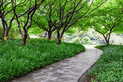 Landscaped Gardens